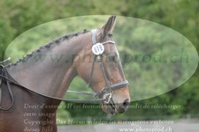 ref. photo 3182090