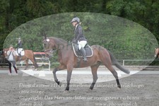 ref. photo 3182104