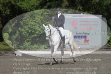 ref. photo 3182123