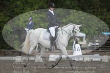 ref. photo 3182132