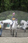 ref. photo 3182147