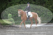 ref. photo 3182161
