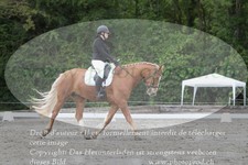 ref. photo 3182162