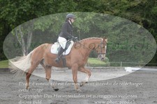 ref. photo 3182168