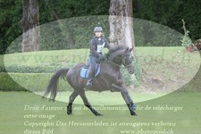 ref. photo 3182503