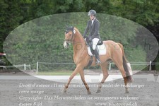 ref. photo 3182527