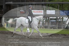 ref. photo 3182580