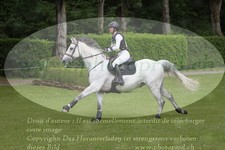 ref. photo 3182619