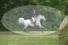 ref. photo 3182662