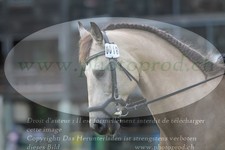 ref. photo 3182696