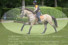 ref. photo 3182749