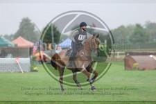 ref. photo 3731506