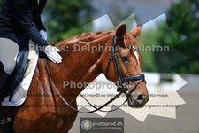 ref. photo 3689390