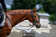 ref. photo 3689400