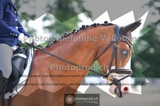 ref. photo 3689433