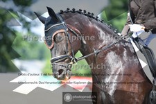 ref. photo 3689468