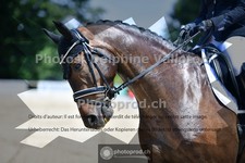 ref. photo 3689505