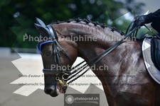 ref. photo 3689544