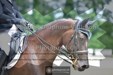 ref. photo 3689546