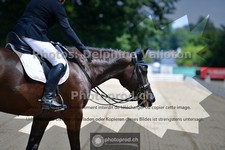 ref. photo 3689565