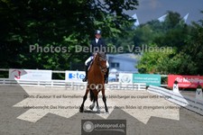 ref. photo 3689572