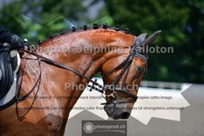 ref. photo 3689579
