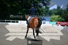 ref. photo 3689580
