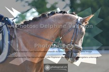 ref. photo 3689622