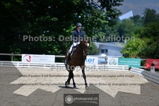 ref. photo 3689651