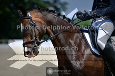 ref. photo 3689652