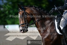 ref. photo 3689689