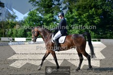 ref. photo 3689706