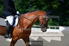 ref. photo 3689804