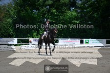 ref. photo 3689869