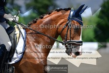ref. photo 3689883