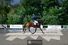 ref. photo 3689928