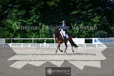 ref. photo 3689933