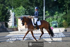 ref. photo 3689936