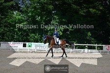 ref. photo 3689951