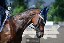 ref. photo 3689970