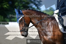 ref. photo 3689978