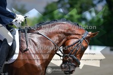 ref. photo 3690021