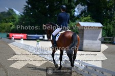ref. photo 3690025