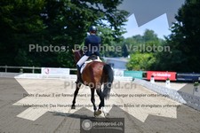 ref. photo 3690039