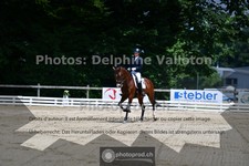 ref. photo 3690050