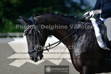 ref. photo 3690062