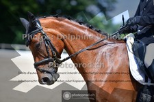 ref. photo 3690106