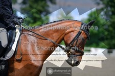ref. photo 3690113