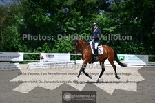 ref. photo 3690122