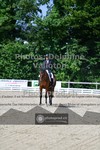 ref. photo 3690130